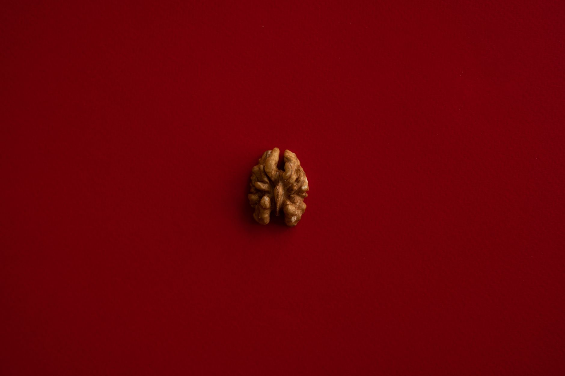 Brain Health Foods: What Are the Best Proven Options?