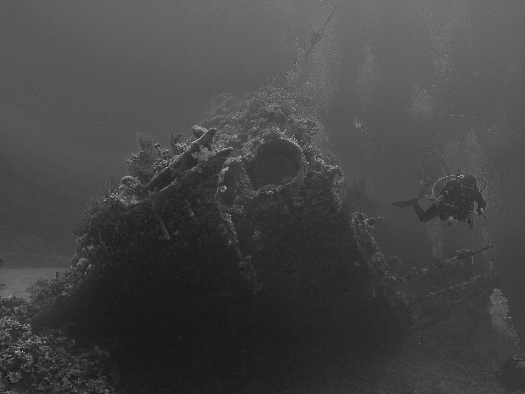 World’s Oldest Shipwreck: Exciting Discoveries Ahead